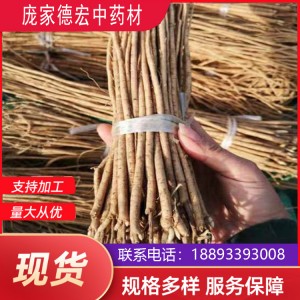 庞家德宏中药材 党参苗 品质优良 种苗批发厂家 种植技术